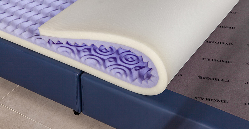 Casia tarda Rebound Spongia-LR40 Purpura